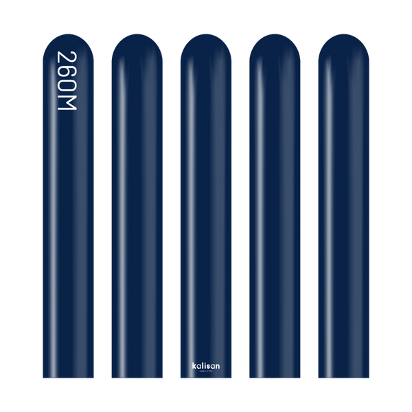 260 Modelling Standard NAVY 100 bag #10223421