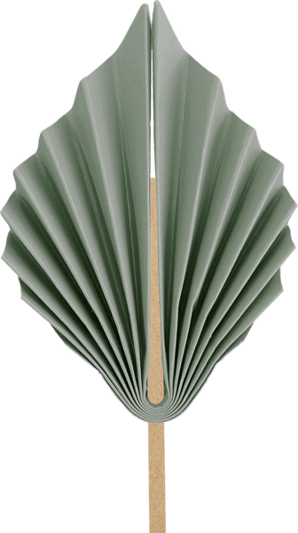 Paper Palm Leaf 15cm Eucalyptus 2pk #5219EUP