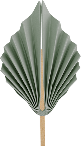 Paper Palm Leaf 15cm Eucalyptus 2pk #5219EUP