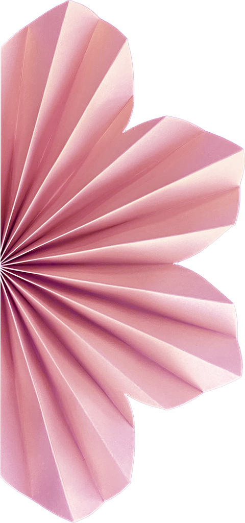 20cm Paper DAISY Pastel Pink 2 pack #FS5220CPP