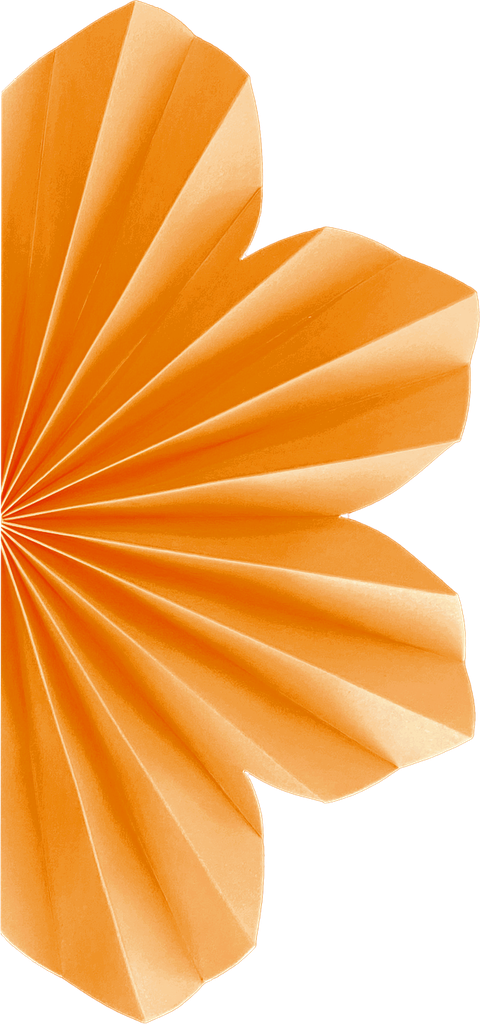 20cm Paper DAISY Tangerine 2 pack #FS5220TGP