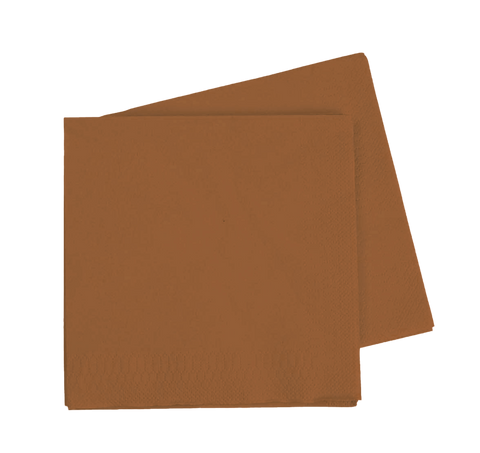 LUNCH Napkin ACORN 40Pk #FS6072ACP