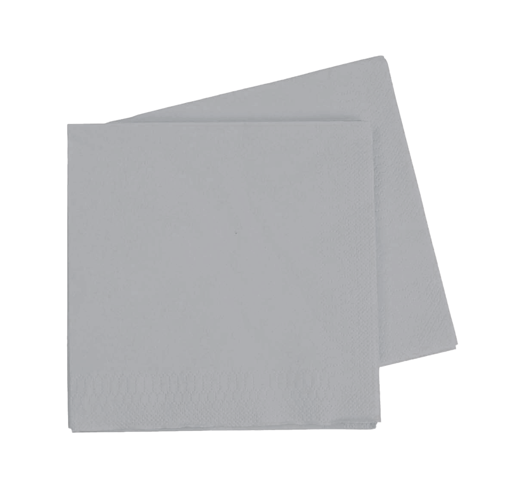 LUNCH Napkin COOL GREY 40Pk #FS6072CGP