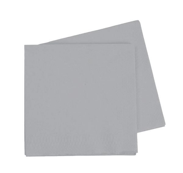 LUNCH Napkin COOL GREY 40Pk #FS6072CGP