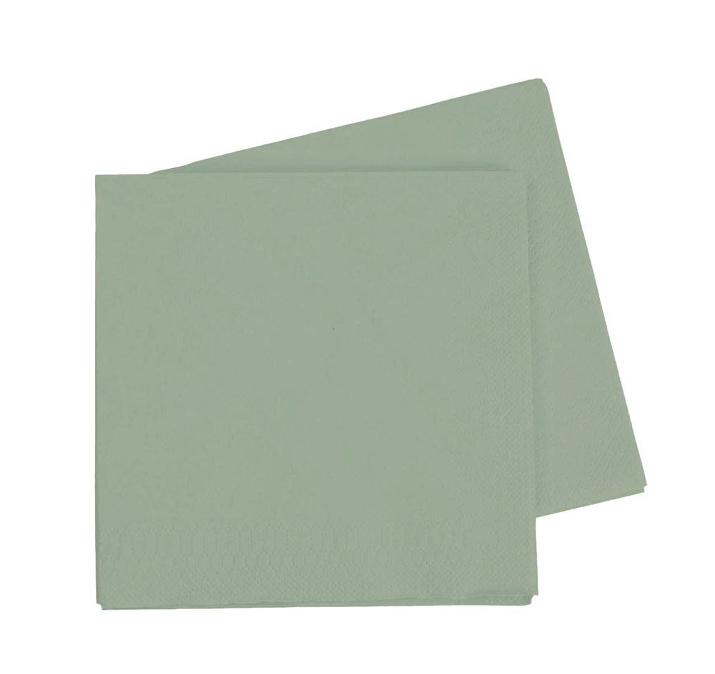 LUNCH Napkin EUCALYPTUS 40Pk #FS6072EUP