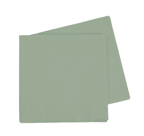 LUNCH Napkin EUCALYPTUS 40Pk #FS6072EUP