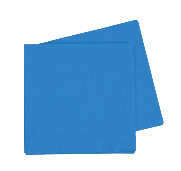 LUNCH Napkin SKY BLUE 40Pk #FS6072SBP