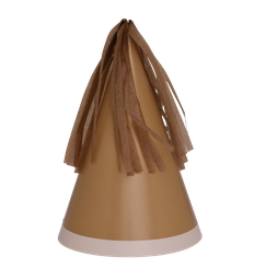 Party HAT With Paper Tassel ACORN 10pk #FS6150ACP