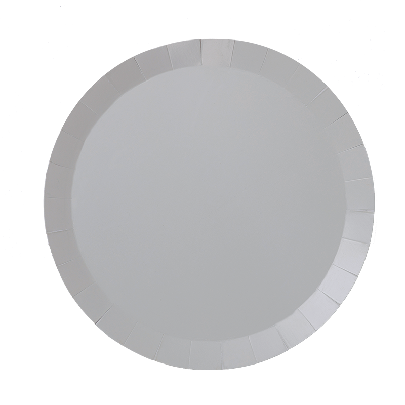 Paper Round DINNER Plate 9