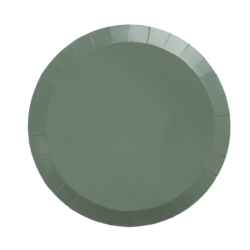 Paper Round DINNER Plate 9