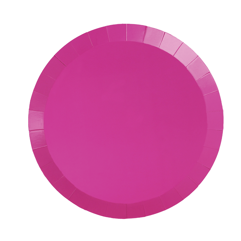 Paper Round DINNER Plate 9