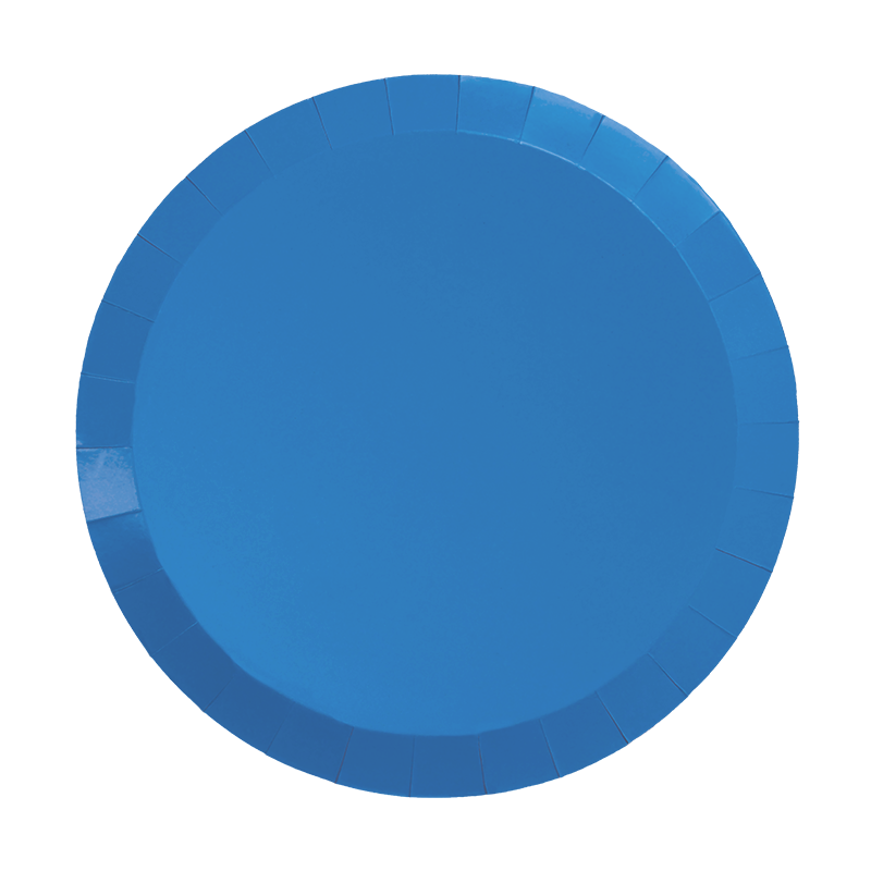 Paper Round DINNER Plate 9