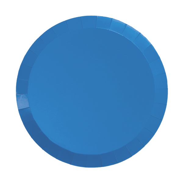 Paper Round DINNER Plate 9
