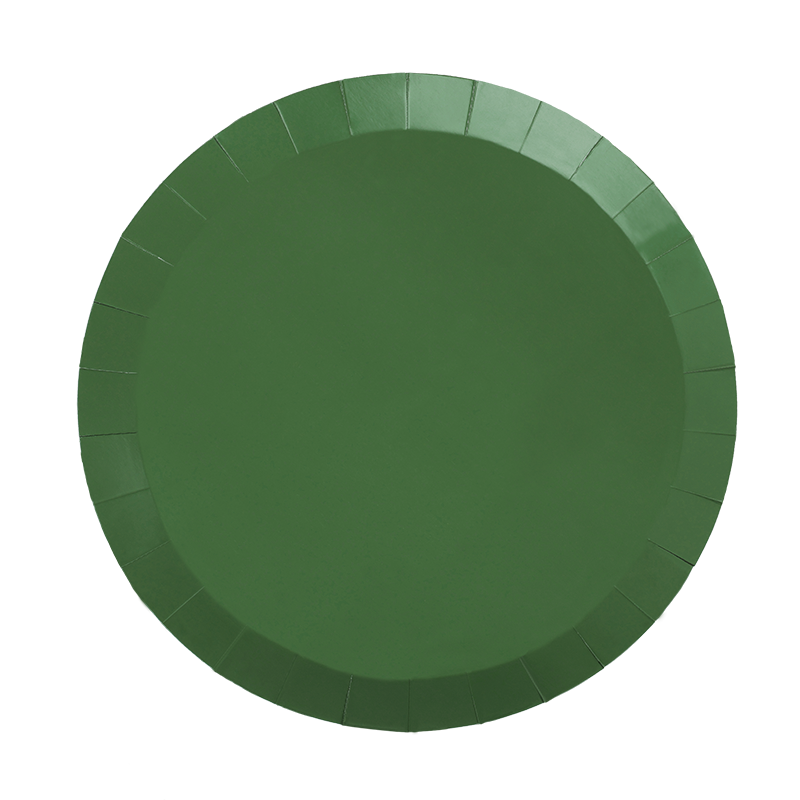 Paper Round DINNER Plate 9