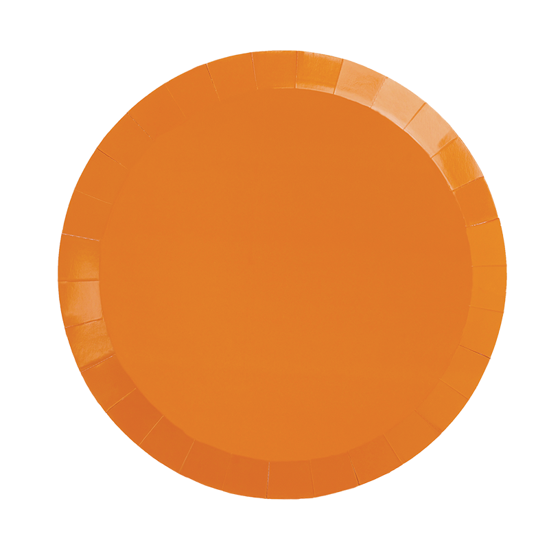 Paper Round DINNER Plate 9