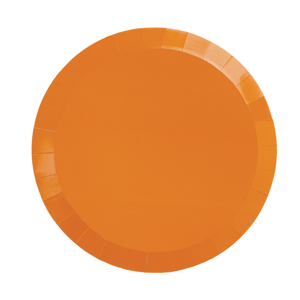 Paper Round DINNER Plate 9