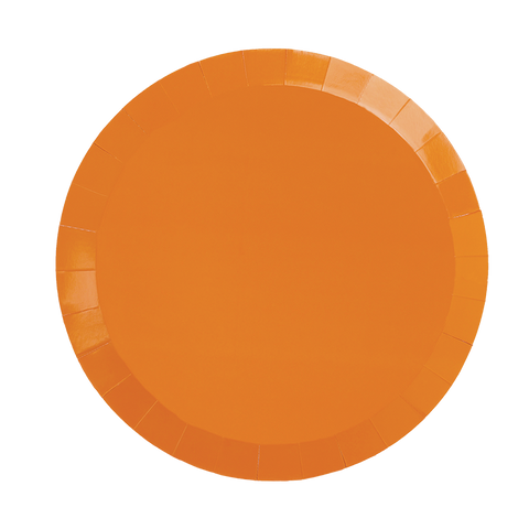 Paper Round DINNER Plate 9