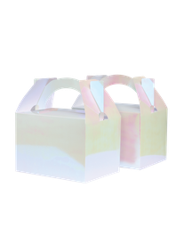LITTLE Lunch Box IRIDESCENT 10 Pack #FS6231IRP