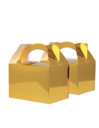 LITTLE Lunch Box METALLIC GOLD 10 Pack #FS6231MGP