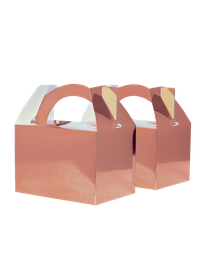 LITTLE Lunch Box METALLIC ROSE GOLD 10 Pack #FS6231MRGP