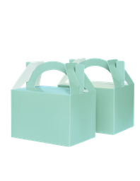LITTLE Lunch Box MINT GREEN 10 Pack #FS6231MTP