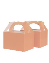 LITTLE Lunch Box PEACH 10 Pack #FS6231PHP