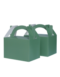LITTLE Lunch Box SAGE GREEN 10 Pack #FS6231SGP