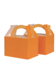 LITTLE Lunch Box TANGERINE 10 Pack #FS6231TGP