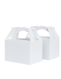 LITTLE Lunch Box WHITE 10 Pack #FS6231WHP