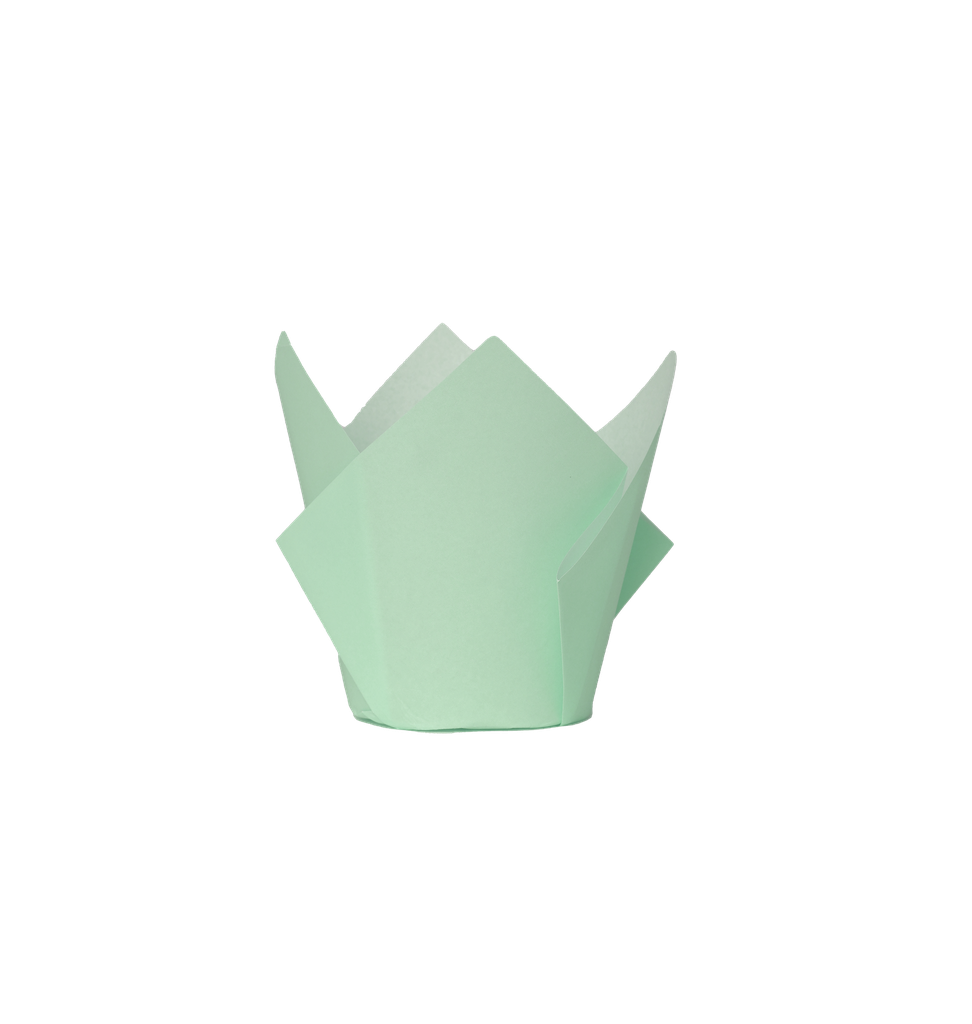 FS Tulip Cupcake Case MINT GREEN 20pk #6255MTP