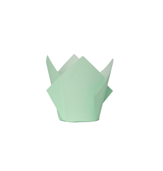 FS Tulip Cupcake Case MINT GREEN 20pk #6255MTP