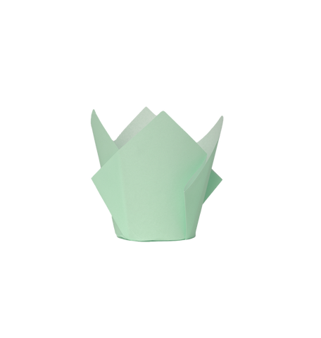 FS Tulip Cupcake Case MINT GREEN 20pk #6255MTP