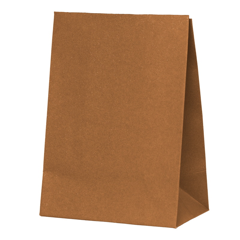 Paper Party Bag ACORN 18cm x 13cm x 8cm 10pk #6300ACP