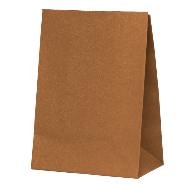 Paper Party Bag ACORN 18cm x 13cm x 8cm 10pk #6300ACP