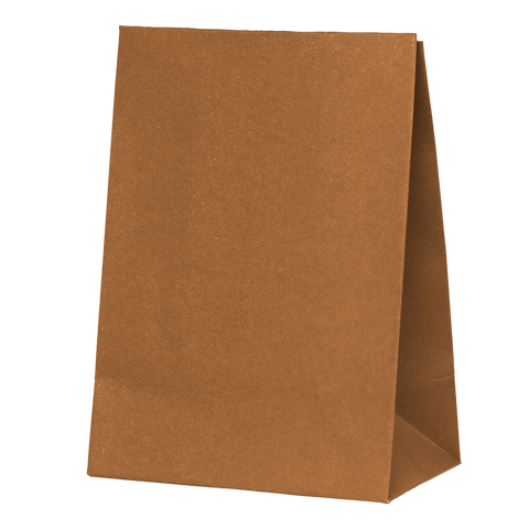 Paper Party Bag ACORN 18cm x 13cm x 8cm 10pk #6300ACP