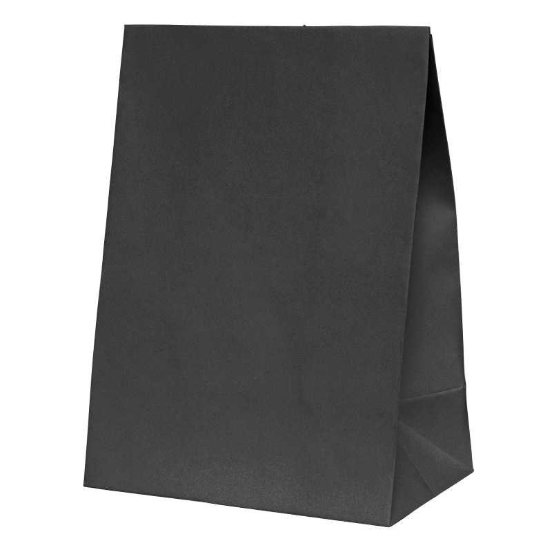 Paper Party Bag BLACK 18cm x 13cm x 8cm 10pk #6300BKP