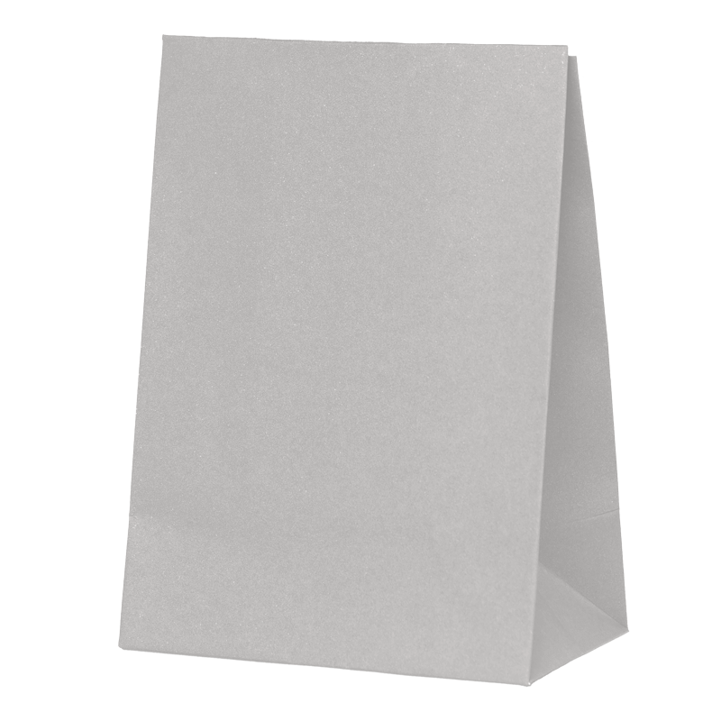 Paper Party Bag COOL GREY 18cm x 13cm x 8cm 10pk #6300CGP