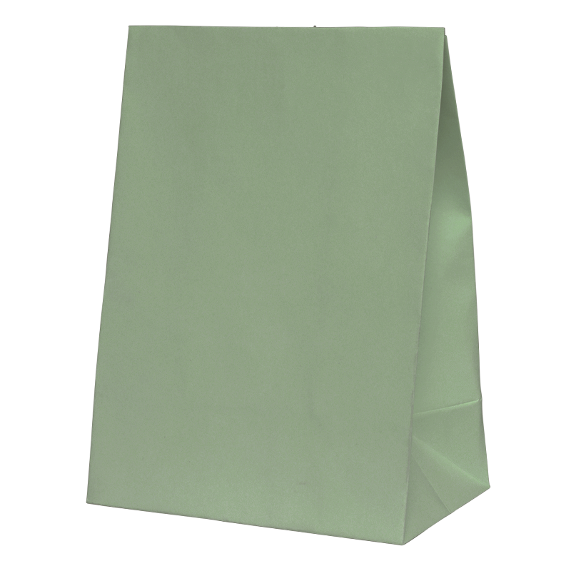 Paper Party Bag EUCALYPTUS 18cm x 13cm x 8cm 10pk #6300EUP