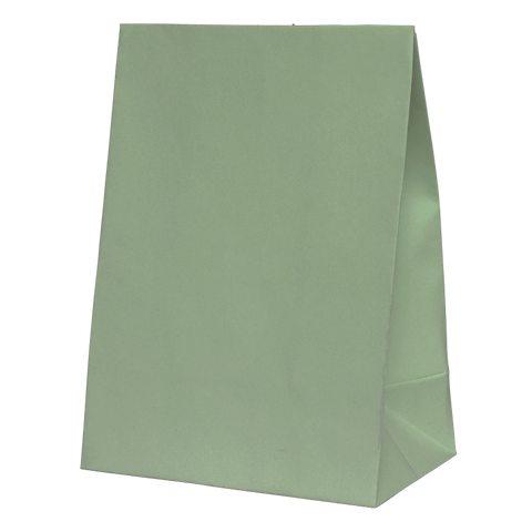 Paper Party Bag EUCALYPTUS 18cm x 13cm x 8cm 10pk #6300EUP