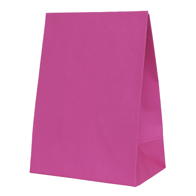 Paper Party Bag FLAMINGO 18cm x 13cm x 8cm 10pk #6300FMP