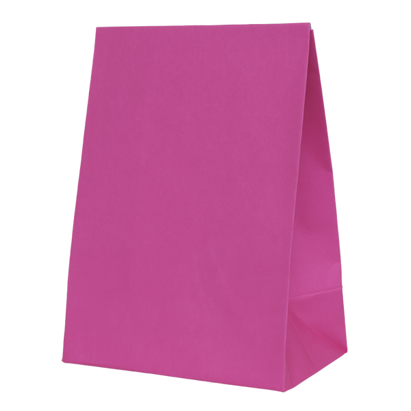 Paper Party Bag FLAMINGO 18cm x 13cm x 8cm 10pk #6300FMP