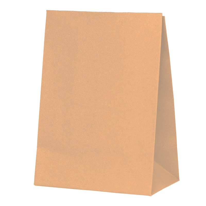 Paper Party Bag PEACH 18cm x 13cm x 8cm 10pk #6300PHP
