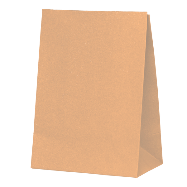 Paper Party Bag PEACH 18cm x 13cm x 8cm 10pk #6300PHP