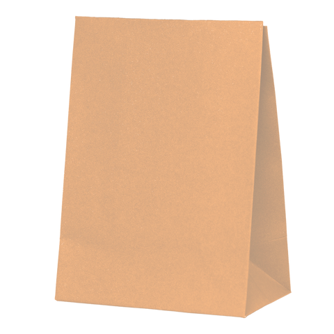 Paper Party Bag PEACH 18cm x 13cm x 8cm 10pk #6300PHP