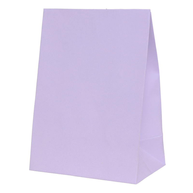 Paper Party Bag PASTEL LILAC 18cm x 13cm x 8cm 10pk #6300PLIP