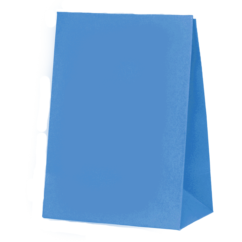 Paper Party Bag SKY BLUE 18cm x 13cm x 8cm 10pk #6300SBP