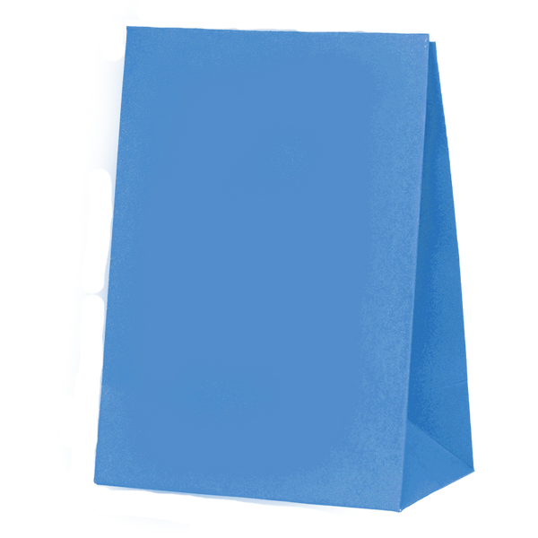 Paper Party Bag SKY BLUE 18cm x 13cm x 8cm 10pk #6300SBP