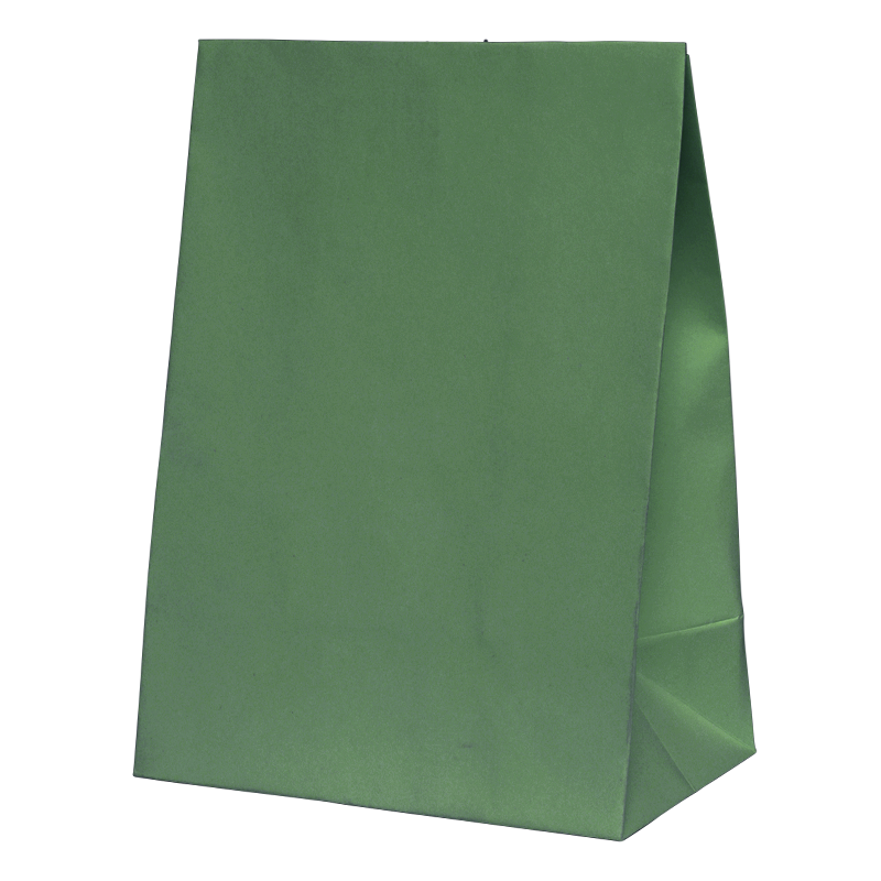 Paper Party Bag SAGE GREEN 18cm x 13cm x 8cm 10pk #6300SGP