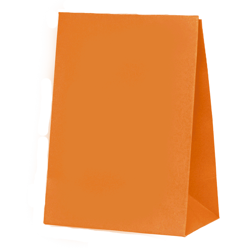 Paper Party Bag Tangerine 18cm x 13cm x 8cm 10pk #6300TGP