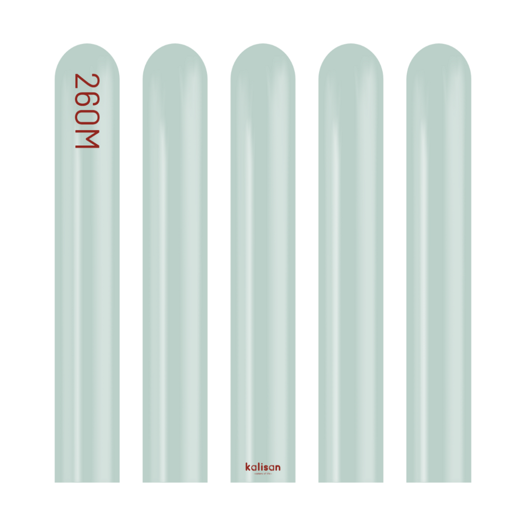 260 KALISAN Modelling Aura ICE MINT Nozzle Up 50 bag #10270825